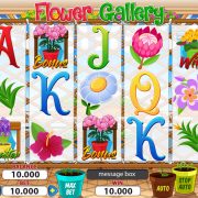 flower_gallery_reels